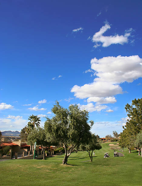 Arizona Golfing stock photo