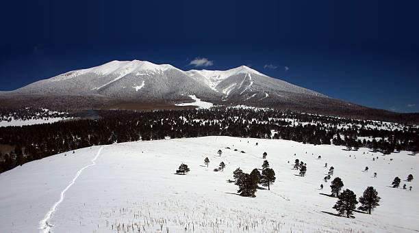Arizona Snow Capped Mountains The San Fransisco Peaks near Flagstaff Arizona and snowbowl ski resort tower into a perfectly blue sky. Lots of white or blue copy area. Clean lines for cutout. Perfect for banner flash. flagstaff arizona stock pictures, royalty-free photos & images