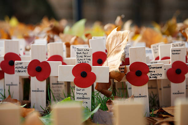 A large gathering of poppies and crosses for Remembrance Day
