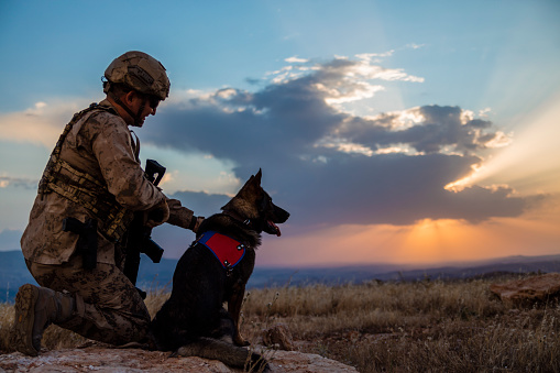 Army soldier with attack dog