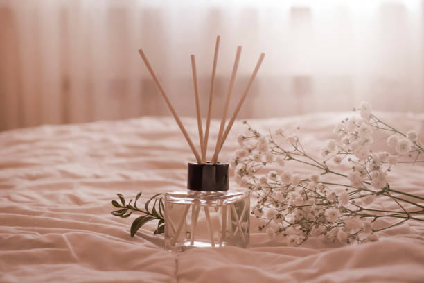aroma diffuser, home perfume gypsophila flower - sniffing glass imagens e fotografias de stock