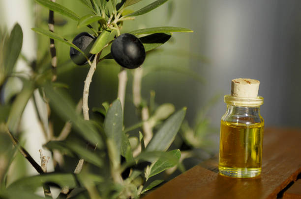aromatic olive oil stock photo