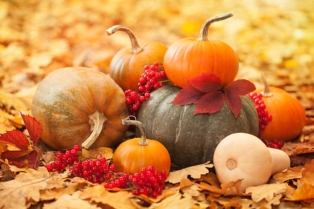 Arrangement with pumpkins and autumn leaves stock photo