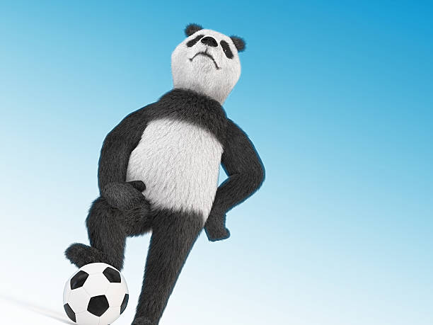 arrogant caractère fier de joueur de football en relief sur la poitrine - panda foot photos et images de collection