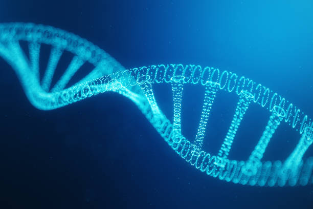 Artifical intelegence DNA molecule. DNA is converted into a digital code. Digital code genome. Abstract technology science, concept artifical Dna. DNA consisting particle, dots, 3D illustration stock photo