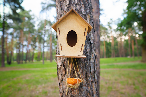 Plywood birdhouse with a drinking bowl in the forest. Birds care concept.