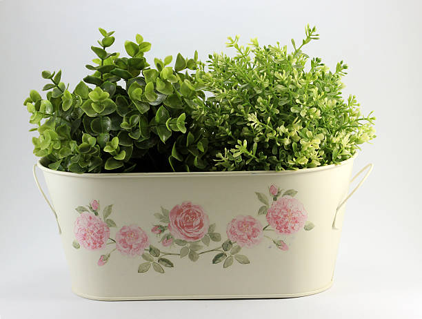 plantas artificiais em flowerpot - social media imagens e fotografias de stock