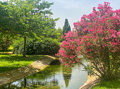 istock Artificial stream of water moving along blossoming trees 1403434109