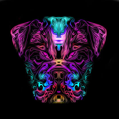 artistic bulldog on black background
