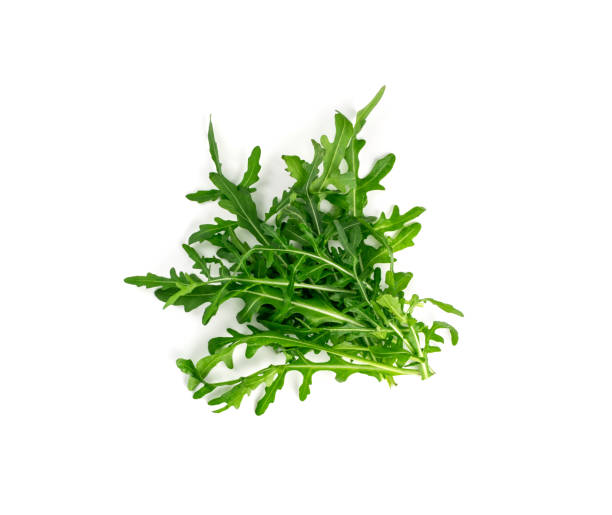 Arugula, Arugula, Ruccola Leaves, Rucola, Eruca or Roquette Salad stock photo