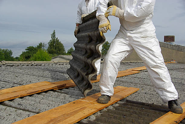 asbestos asbestos roof, demolition removing stock pictures, royalty-free photos & images