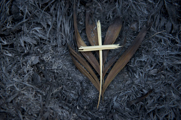 We burn last year's palms to create this year's ashes. We impose ashes to remember that we are mortal, to remember that we need to repent, to remember that we are forgiven, to remember the story isn't over.