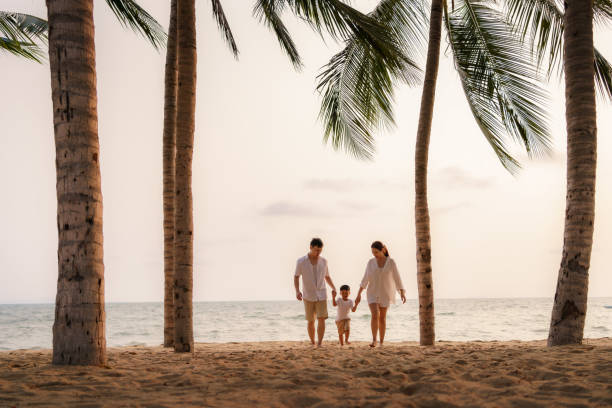 Asian family with fathers, mother and son are walking along a beachfront beach with coconut trees while on vacation in the summer in Thailand. stock photo