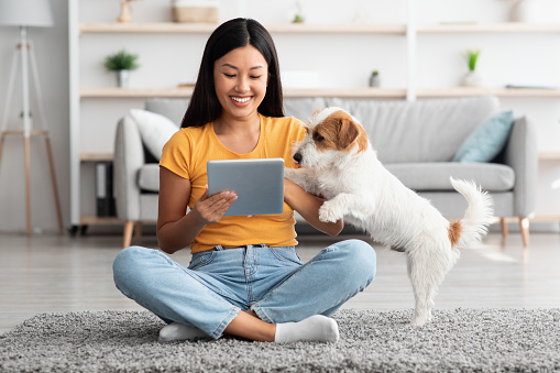 Happy young asian woman and cute small dog fluffy jack russel terrier having fun together at home, using digital tablet, playing video game, living room interior, copy space. Pets affectionate concept