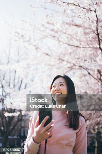 istock Asian young cheerful woman looking up to the sky while holding her smartphone in front of full blossomed cherry tree in the park 1309825557