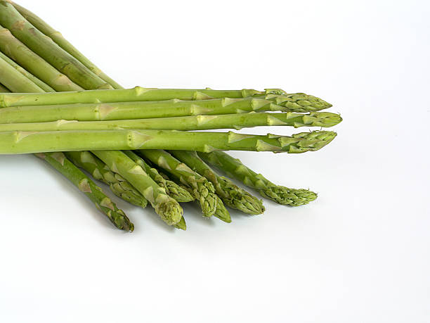Asparagus stock photo