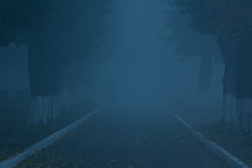 asphalt road leads to dense fog on the street mysterious evening ahead lone janitor cleans fallen autumn leaves