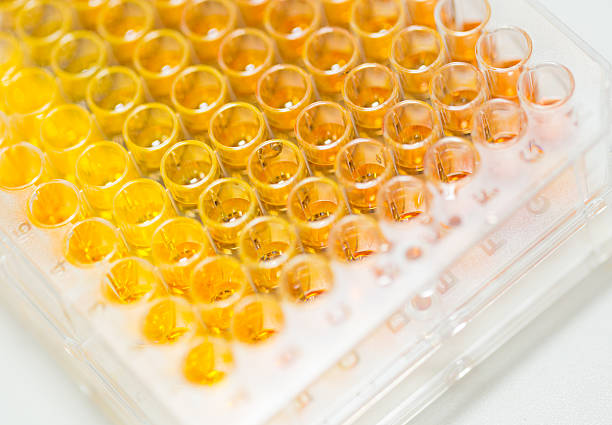 Assay plate 96 well with orange buffer stock photo
