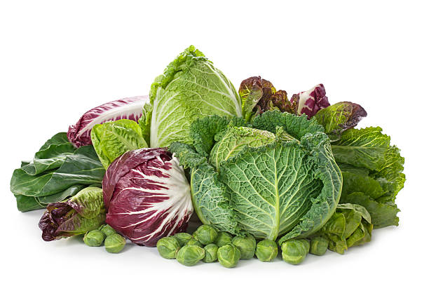 sortiment von frischen cabbages - wirsing zubereiten stock-fotos und bilder