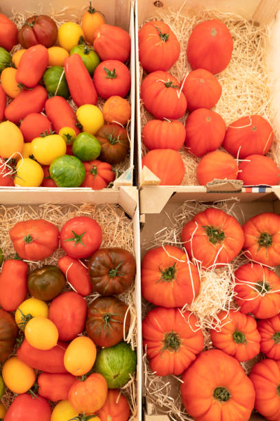 Assortment of red and yellow tomatoes on a market stall stock photo
