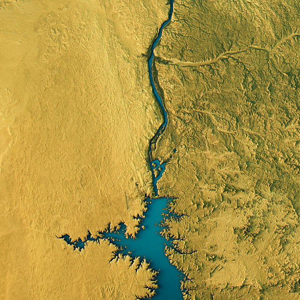 Aswan Dam Topographic Map Natural Color Top View 3D Render of a Topographic Map of the Aswan Dam, Egypt. nile river stock pictures, royalty-free photos & images