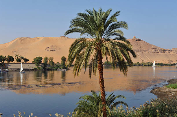 Aswan river scene The River Nile at Aswan.Egypt aswan egypt stock pictures, royalty-free photos & images