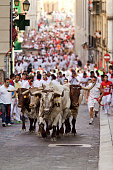 Pamplona, Spain - July 8, 2013: Unidentified men run from bulls in street Estafeta during San Fermin festival in Pamplona.