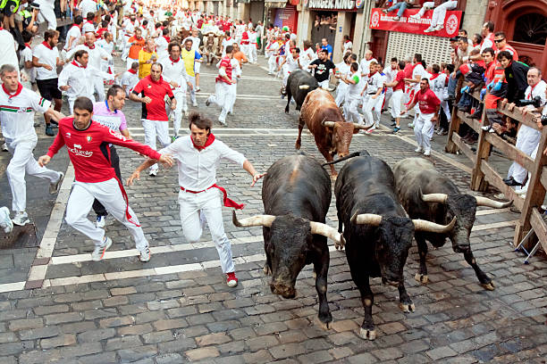 At festival of San Fermin. Pamplona Pamplona, Spain - July 14, 2013: People run from bulls on street during San Fermin festival in Pamplona Pamplona stock pictures, royalty-free photos & images