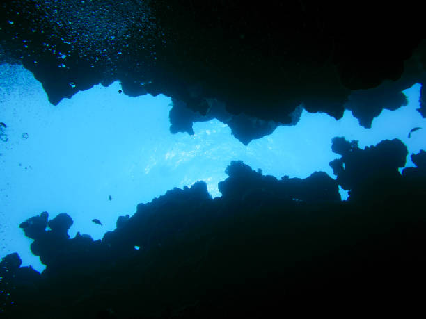 At the bottom of an underwater canyon in Dahab, Egypt stock photo