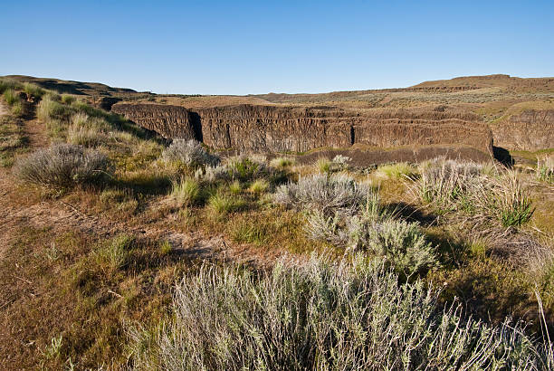 Palouse River Canyon At the end of the last ice age, the great Missoula Flood swept across eastern Washington leaving the unique scablands we see today. Palouse Falls, 198 feet high, remains as one of the magnificent remnants of the flood. As of February 12, 2014, Palouse Falls was named as Washington State's official waterfall. The powerful waterfall is on the Palouse River, a few miles upstream from its confluence with the Snake River. This view of the Palouse River Canyon was captured from Palouse Falls State Park, Washington State, USA. jeff goulden palouse stock pictures, royalty-free photos & images
