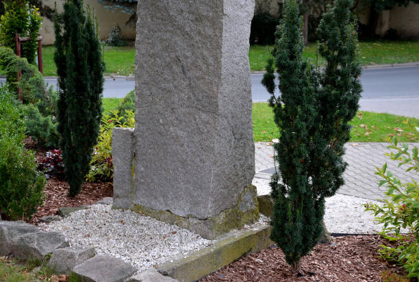 at the monument or tombstone there are yew bushes in the shape of a column. Granite stele and marble grit around the lawn bacata, taxus, fastigiata, hillii, at the monument or tombstone there are yew bushes in the shape of a column. Granite stele and marble grit around the lawn, media yew lake stock pictures, royalty-free photos & images
