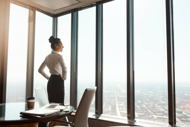 At the top of the business world Rearview shot of an attractive young businesswoman standing with her hands on her hips in the office hand on hip stock pictures, royalty-free photos & images