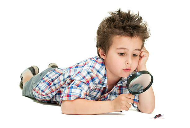 Attentive little boy with weird hair researching the bug using stock photo