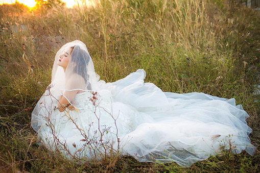 Attractive young bride wear wedding dress and white veil, stand alone in the field grass with rim light from the sun. bride in the Meadow concept. image for background, copy space, objects and fashion