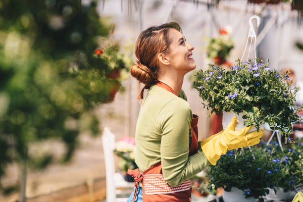 Attractive young woman working in a garden center. Attractive young woman working in a garden center. ornamental garden stock pictures, royalty-free photos & images