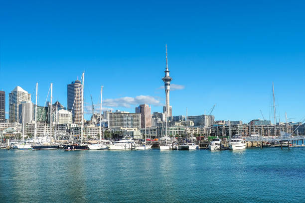 Auckland skyline with the landmark, Sky Tower, in New Zealand. stock photo
