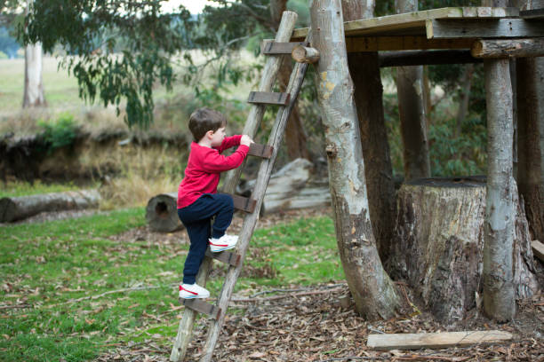Australian Boy child climbing up a ladder to a tree house outside stock photo
