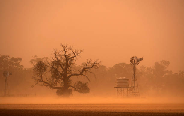 australische droogte stof storm in west-nieuw-zuid-wales - droogte stockfoto's en -beelden