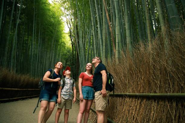 Australian family holidays in Japan Aaustralian family is exploring ARASHIYAMA in Kyoto Japan japan  tourism stock pictures, royalty-free photos & images