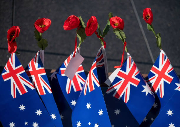 Australian flags and poppies in line for Anzac Day remembrance. Australian flags and poppies in line for Anzac Day remembrance. memorial day background stock pictures, royalty-free photos & images