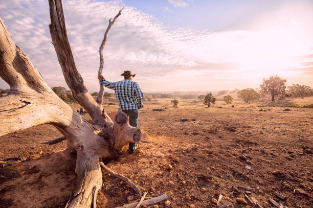 Australian Outback Farmer Senior farmer looking over the drought stricken land, during summer and fire season. australia stock pictures, royalty-free photos & images