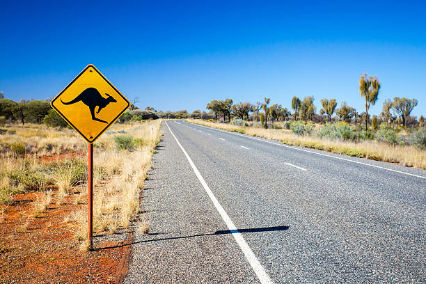 Australian Road Sign An iconic warning road sign for kangaroos near Uluru in Northern Territory, Australia australia stock pictures, royalty-free photos & images