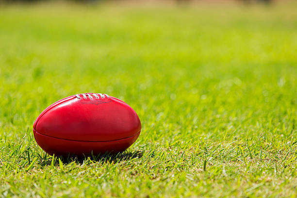forsvinde protestantiske Siden 1,940 Australian Rules Football Stock Photos, Pictures & Royalty-Free  Images - iStock