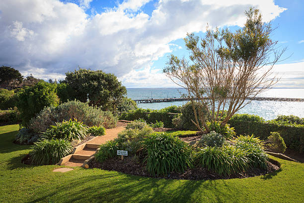 Australian Sea side Landscape stock photo