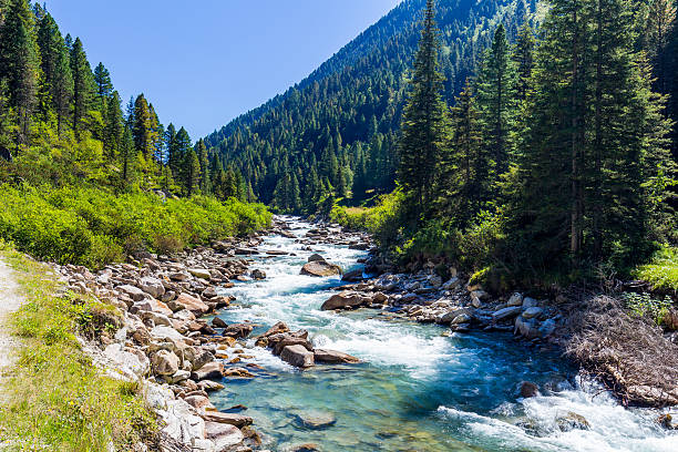 Austrian Alps. Starting famous Krimml waterfalls. Austrian Alps. Starting famous Krimml waterfalls. Crystal clear water sparkles in the midday sun. Through the narrow creek wooden bridge spanned rapids river stock pictures, royalty-free photos & images