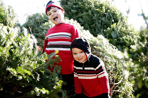 Autistic brothers outside among evergreens for the holiday season stock photo