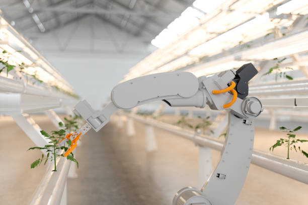 automatic agricultural technology with robotic arm in hydroponic vertical farm. - technology picking agriculture imagens e fotografias de stock