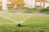 istock Automatic garden lawn sprinkler in action watering grass 1388378666