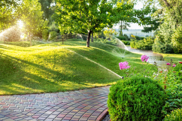 Automatic garden watering system with different sprinklers installed under turf. Landscape design with lawn hills and fruit garden irrigated with smart autonomous sprayers at sunset evening time stock photo
