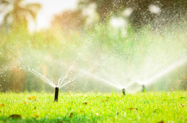 Automatic lawn sprinkler watering green grass. Sprinkler with automatic system. Garden irrigation system watering lawn. Sprinkler system maintenance service. Home service irrigation sprinkler. stock photo
